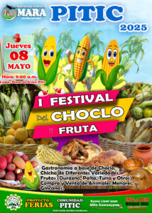PRIMER FESTIVAL DE CHOCLO Y FRUTA PITIC -2025